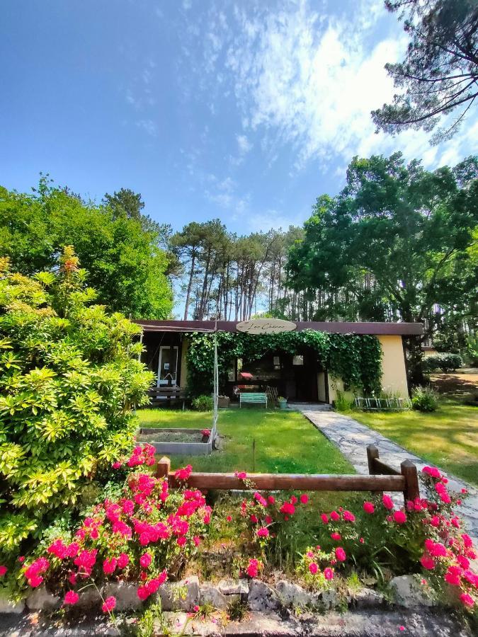 Village Vacances Les Chenes De 莱昂 外观 照片
